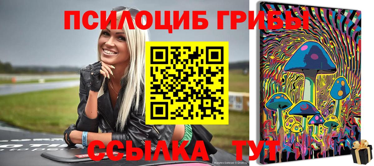Галлюциногенные грибы прущие грибы Рузаевка